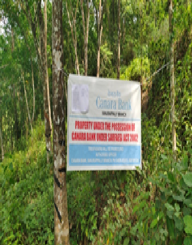 Tesla Asha Image, Kerala